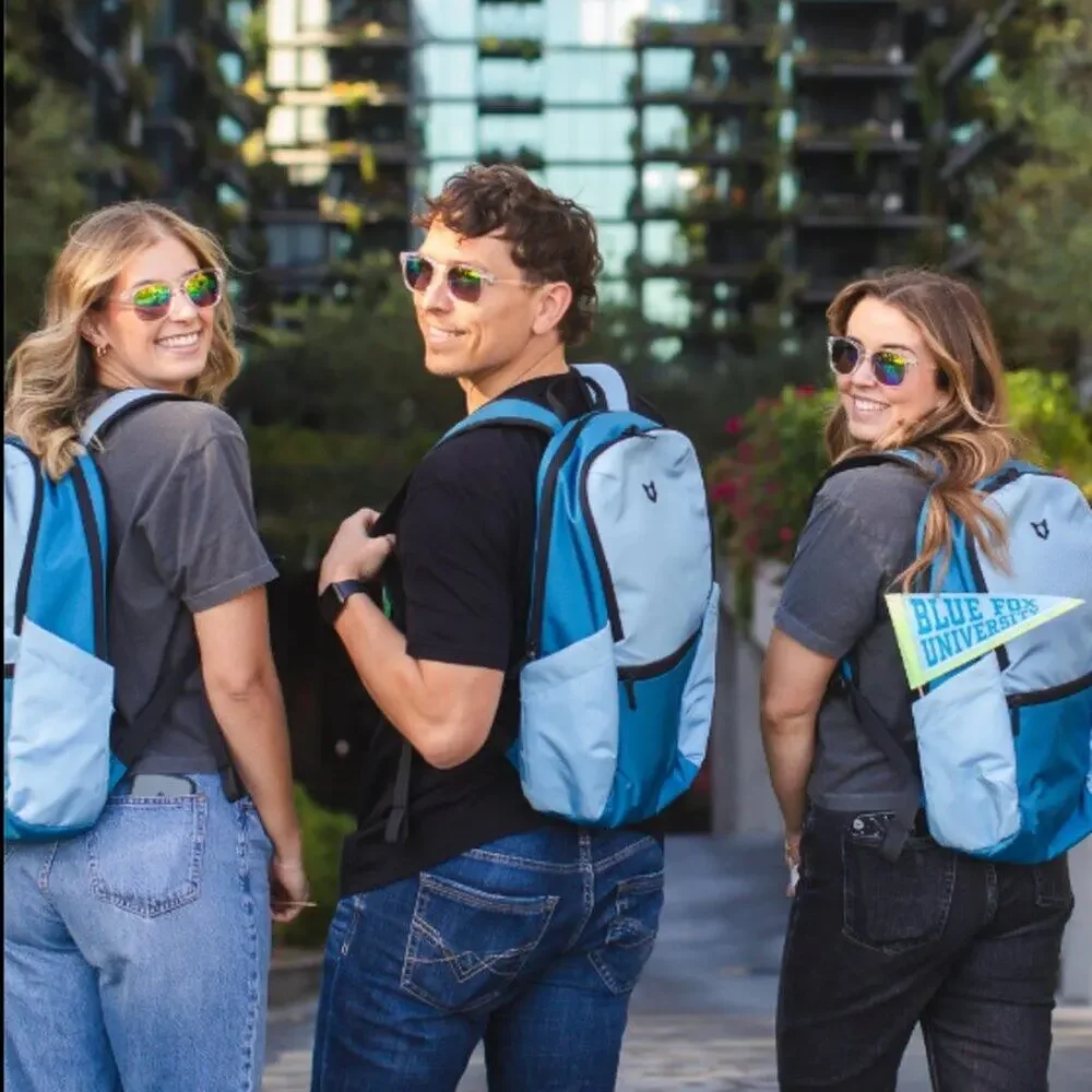 NEW BLUE FOX backpack excellent backpack to carry your electronics